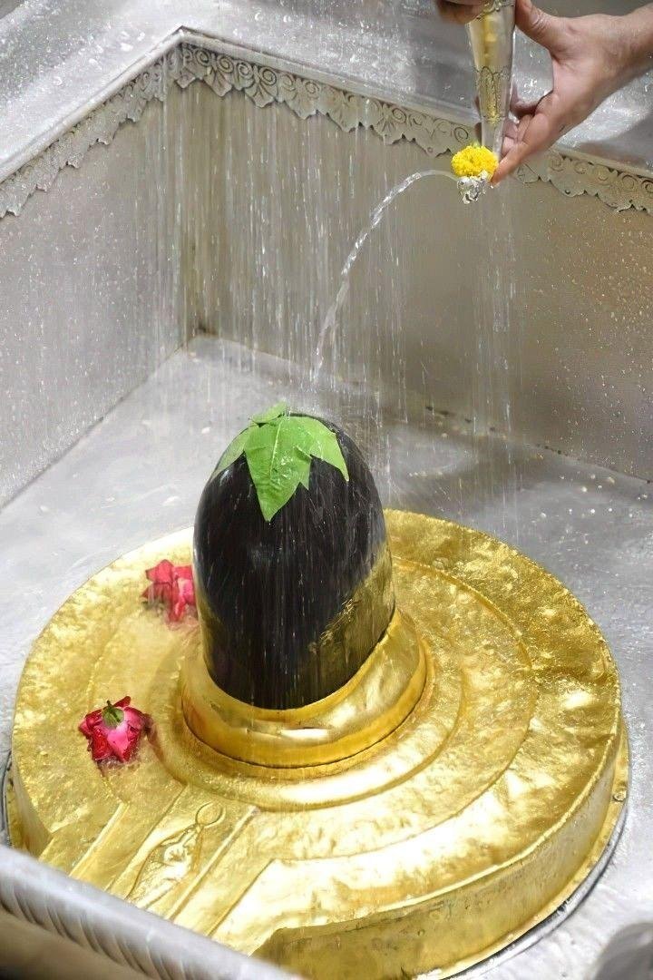 Shivalingam Abhishekam